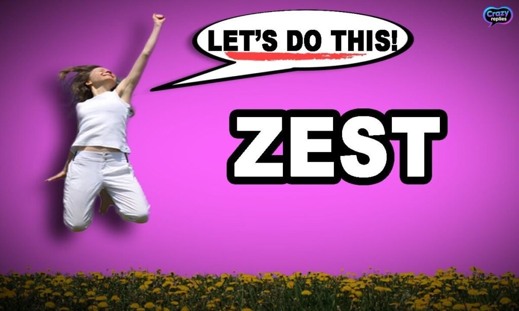 examples-of-zesty-in-real-use