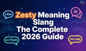zesty-meaning-slang-the-complete-2026-guide