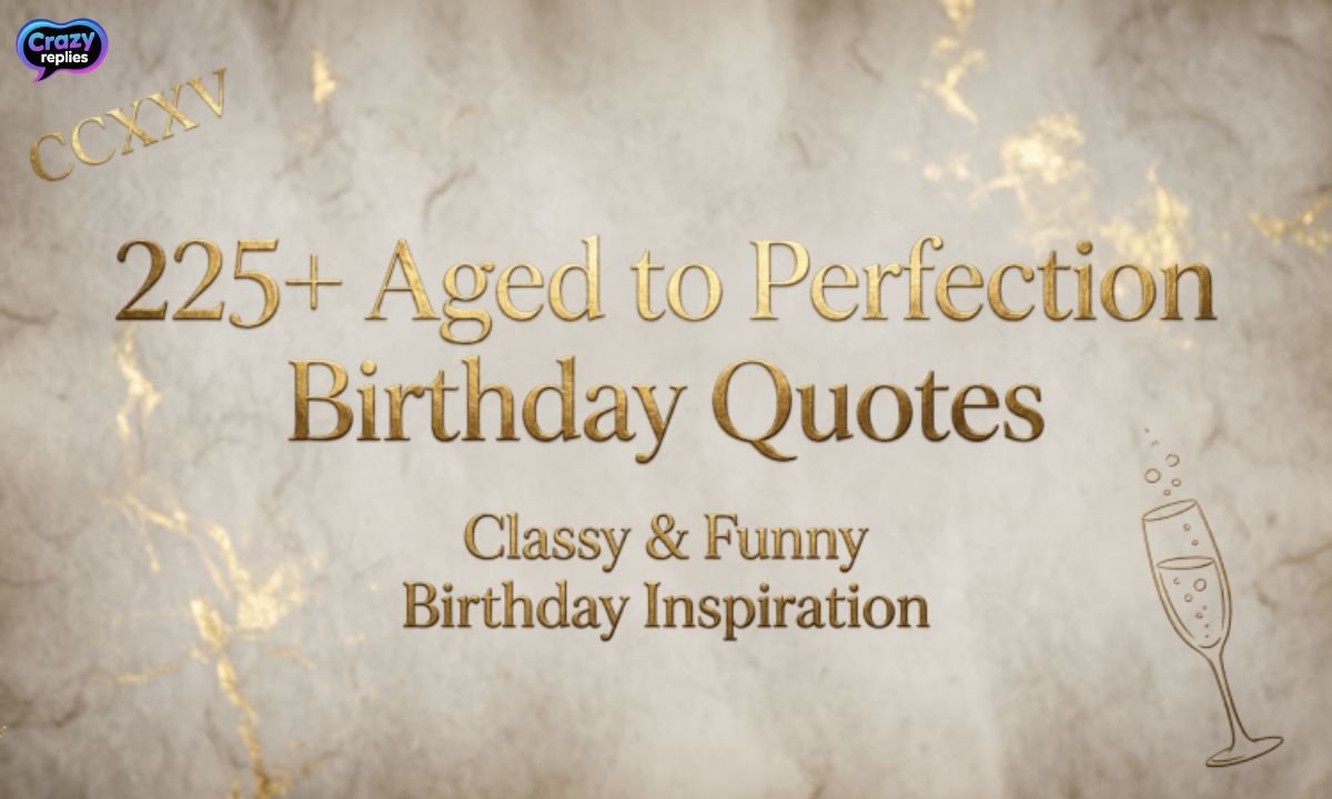 225-aged-to-perfection-birthday-quotes-classy-and-funny